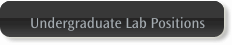 Undergraduate Lab Positions