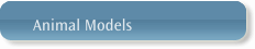 Animal Models